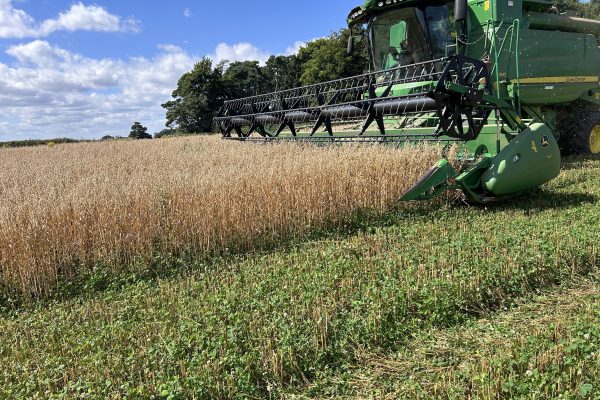 Farming at the Fring Estate