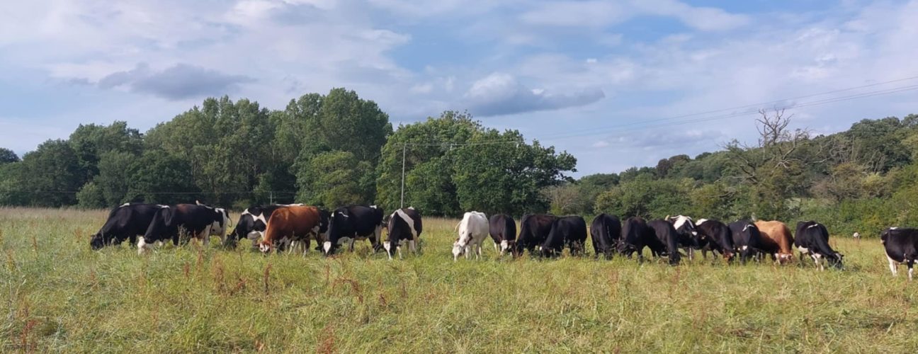 Grazing livestock - It's not the cow but the how
