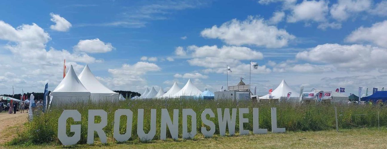 Groundswell