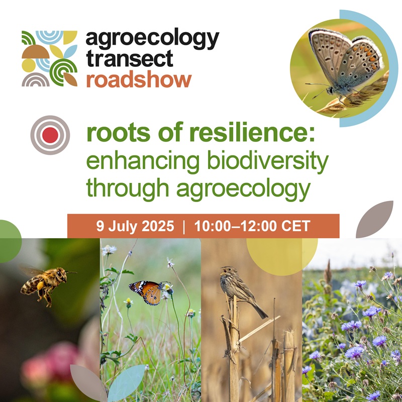Roots of Resilience poster advert 