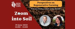 Zoom into Soil