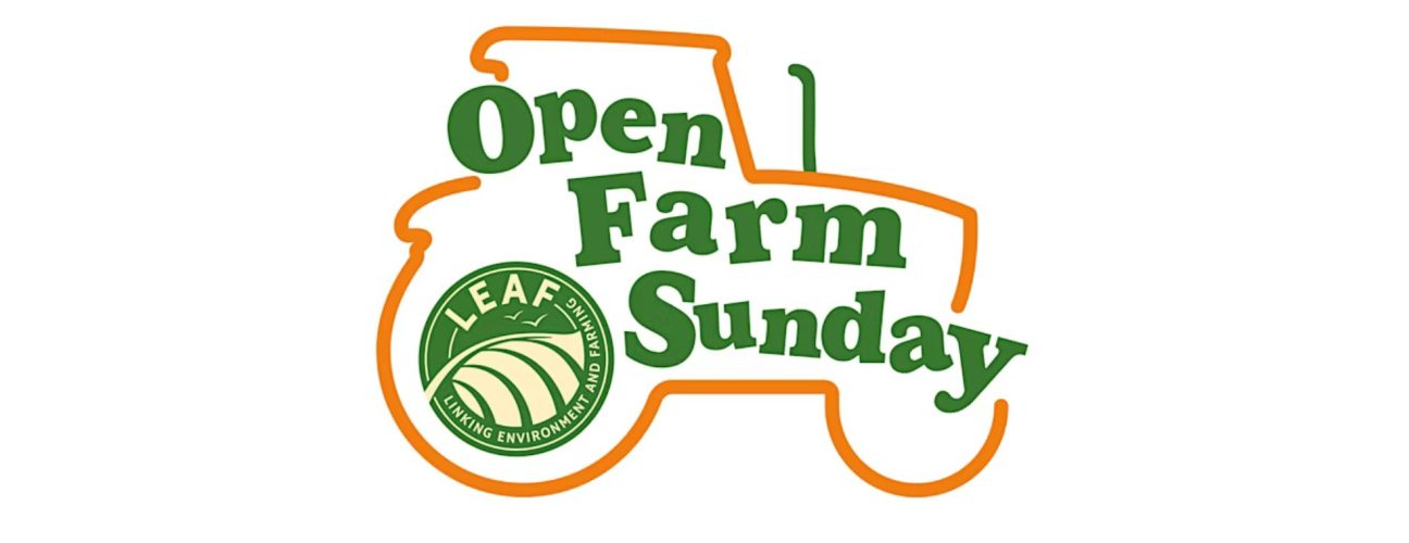 OFS logo