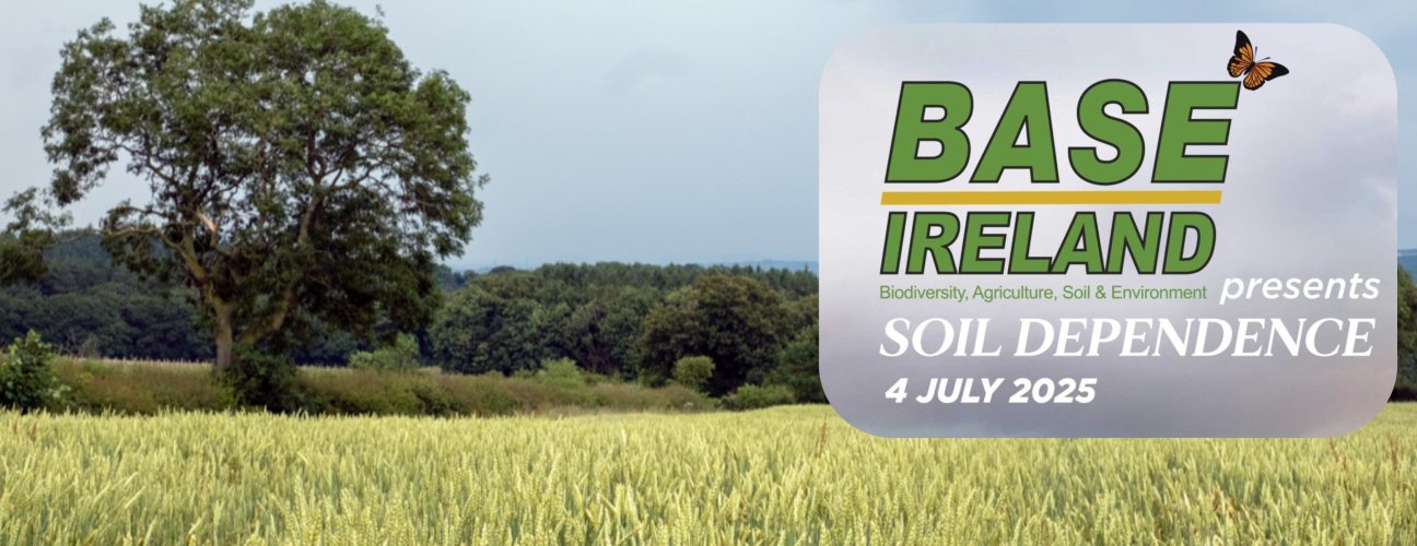 BASE Soil Dependence 2025