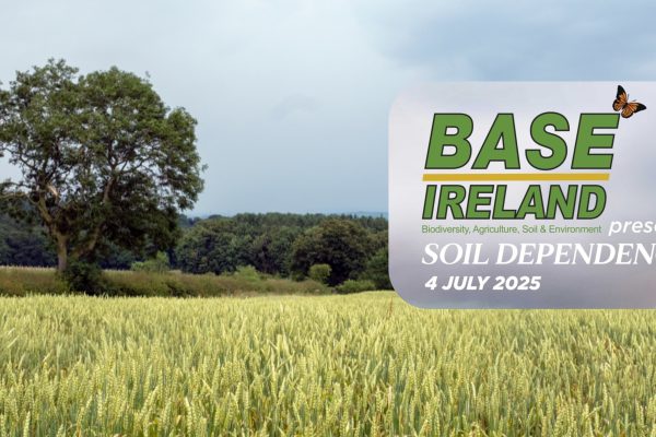 BASE Soil Dependence 2025