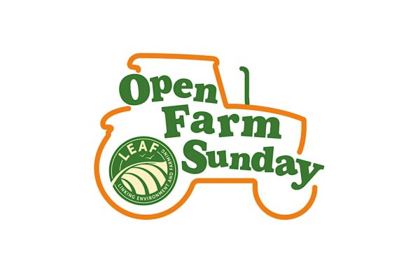 OFS logo
