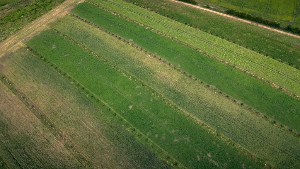 You can see the signs of what is likely to be drought (unproductive pockets) quite clearly from above