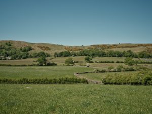 Looking across to the species-rich meadows