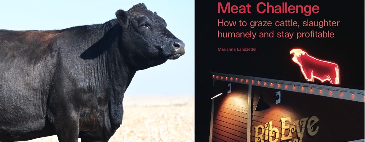 The Sustainable Meat Challenge