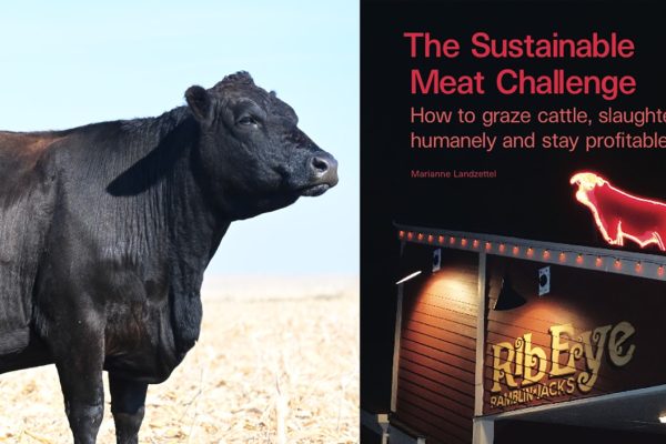 The Sustainable Meat Challenge