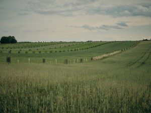 Undulation of slope