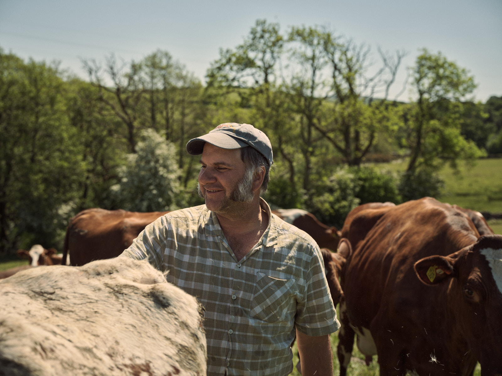James Robinson, Strickley Farm