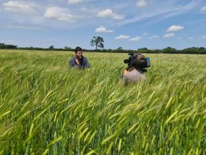 Matt England in a cereal field being filmed for the living mulch video Matt England in a cereal field being filmed for the living mulch video