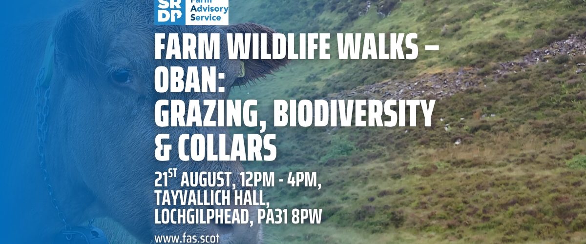 Farm-Wildlife-Walks-–-Oban-Grazing-Biodiversity-Collars