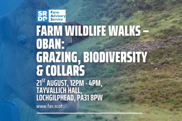 Farm-Wildlife-Walks-–-Oban-Grazing-Biodiversity-Collars