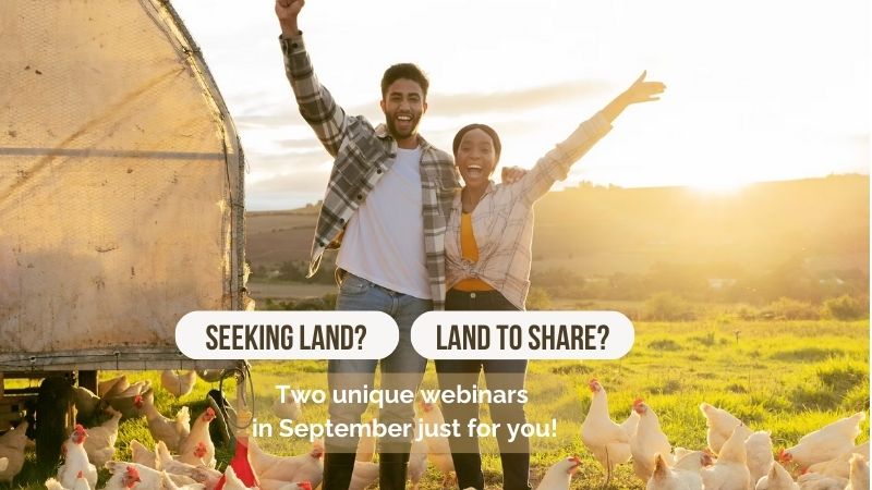 seeking land