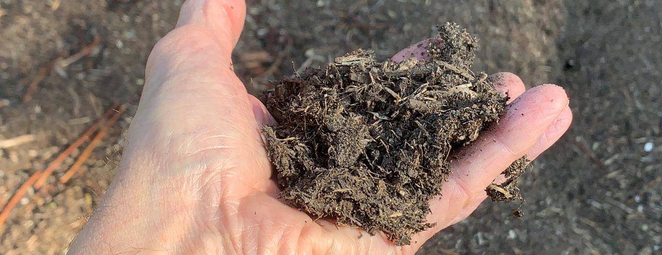 Green_compost