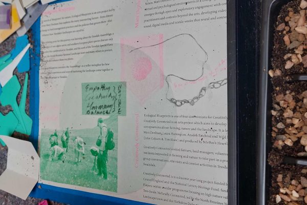Farming, Nature Recovery and Creativity