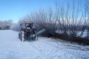 Wakelyns-Agroforestry-UK-harvesting-willow-Jan-2013 Wakelyns-Agroforestry-UK-harvesting-willow-Jan-2013
