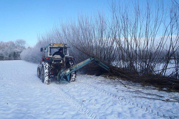 Wakelyns-Agroforestry-UK-harvesting-willow-Jan-2013 Wakelyns-Agroforestry-UK-harvesting-willow-Jan-2013
