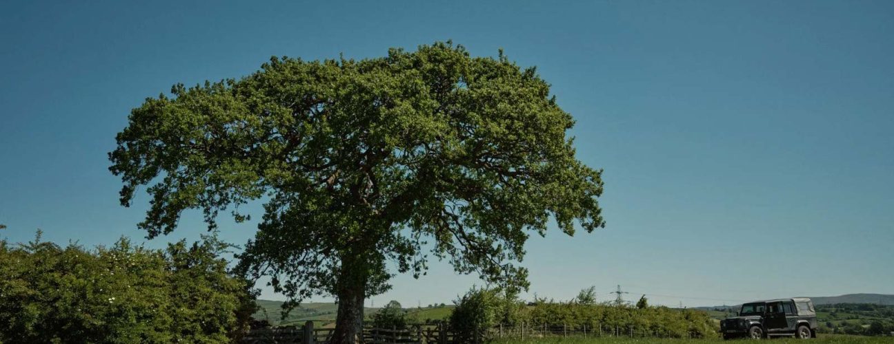 agroforestry-hub-banner