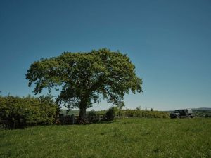 agroforestry-hub-banner agroforestry-hub-banner