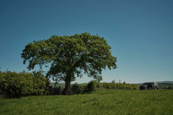 agroforestry-hub-banner
