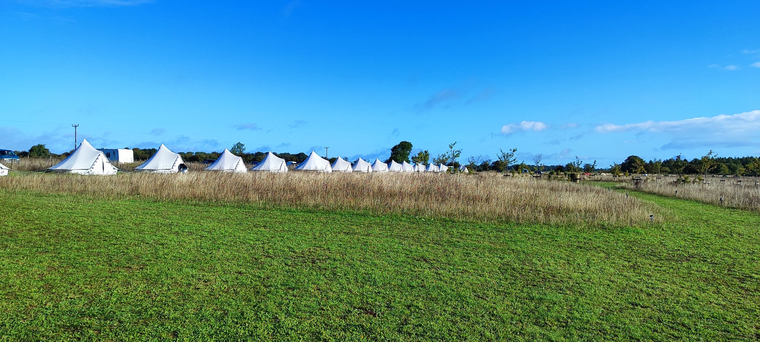 Tents in a field