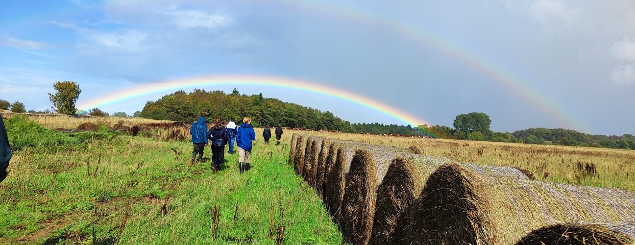 EmGen 2025 Summer Gathering rainbow