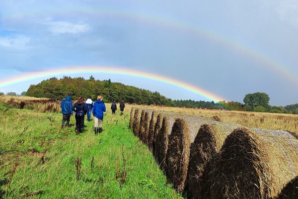 EmGen 2025 Summer Gathering rainbow