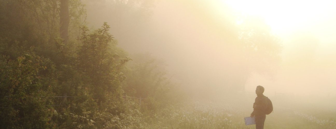 Farmland Birds Survey
