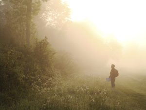 Farmland Birds Survey