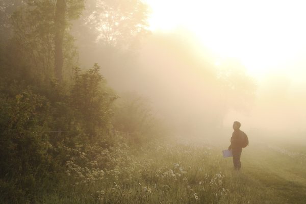 Farmland Birds Survey
