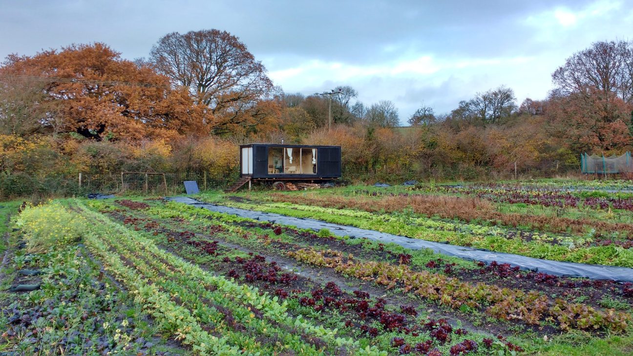 Mixed vegetable crops at Trill Farm Garden. Photo: Ashley Wheeler