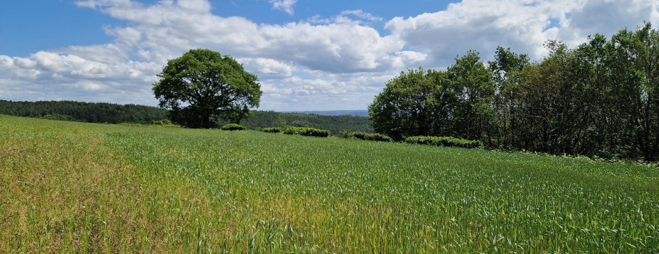 Bio4Ag Toolbox Indicators: emerged weeds Bio4Ag Toolbox Indicators: emerged weeds