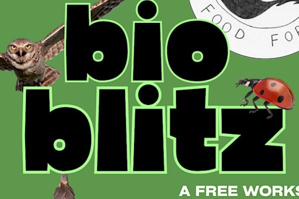 Bioblitz