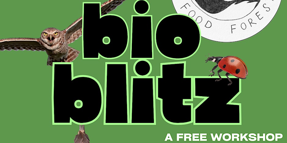 Bioblitz