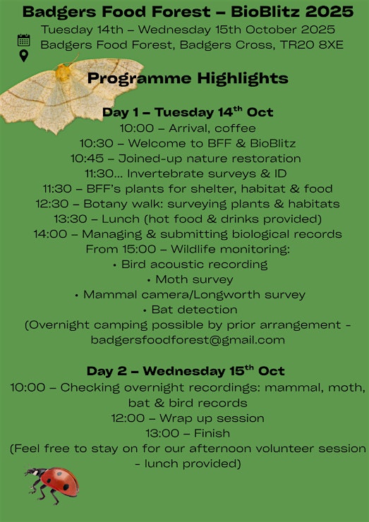 Schedule for the event