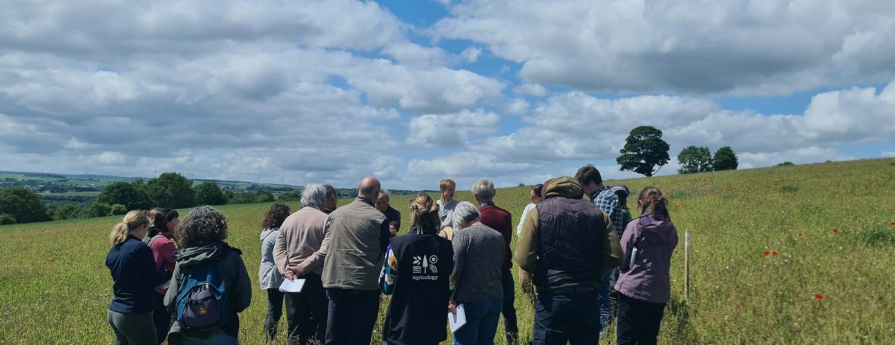 Agricology-10-Year-Timeline-Header_Full Agricology-10-Year-Timeline-Header_Full