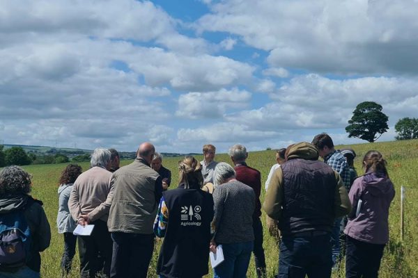 Agricology-10-Year-Timeline-Header_Full Agricology-10-Year-Timeline-Header_Full