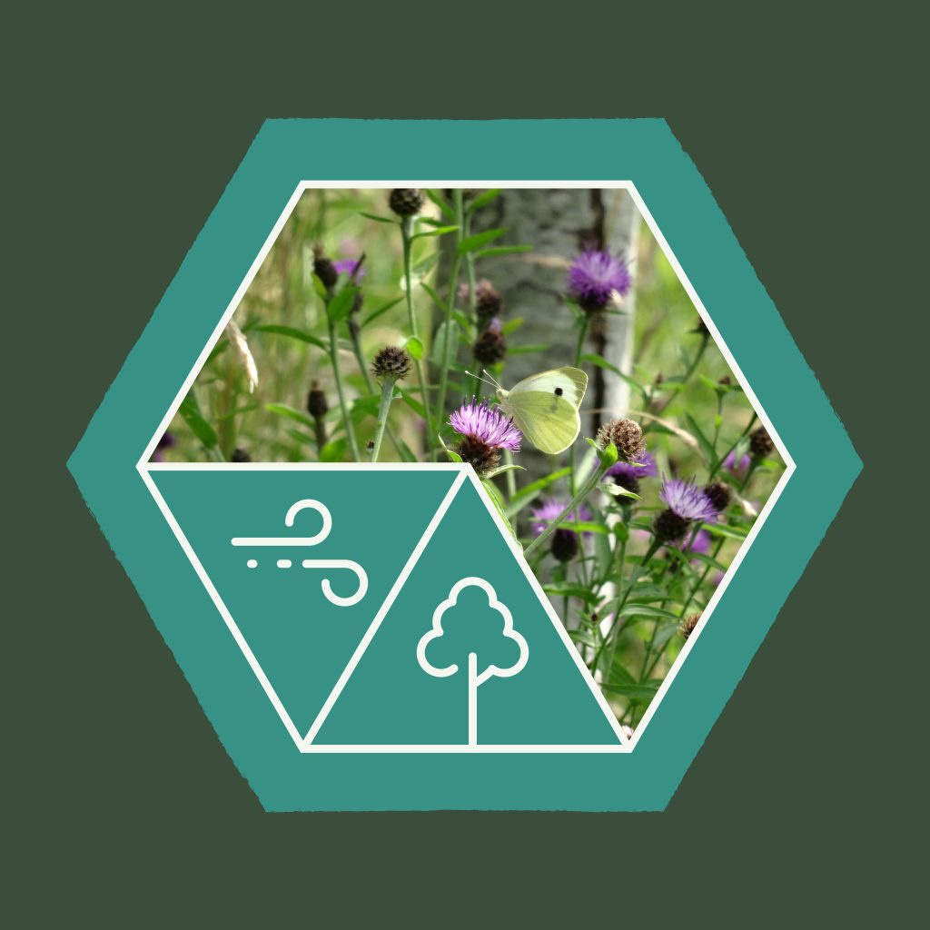 Agroforestry Through the Elements - Air