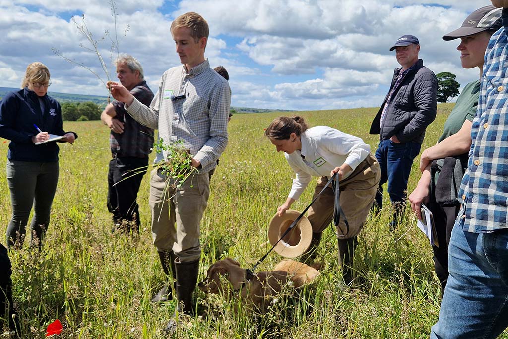 Turning funding into action