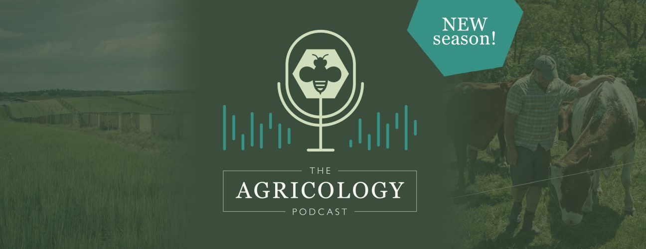 Agricology Podcast - Agroforestry Through the Elements