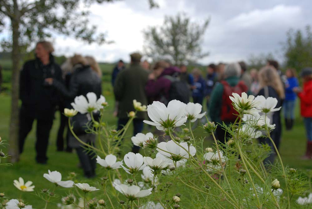 Uniting research with demonstration