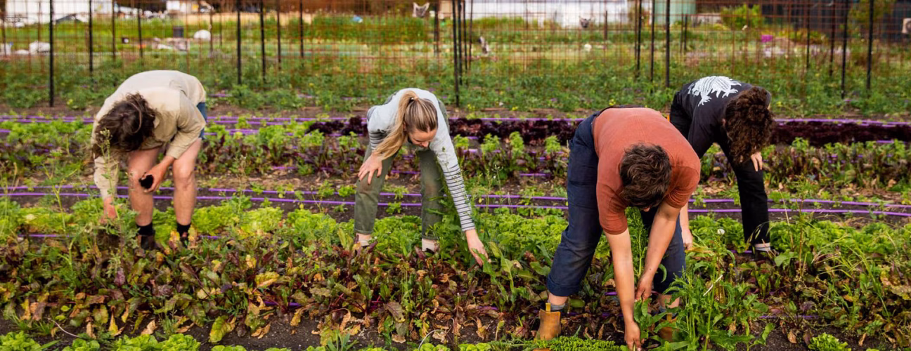 Workers on a Farm Fund supported project