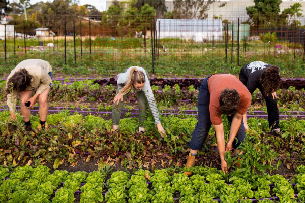 Workers on a Farm Fund supported project Workers on a Farm Fund supported project