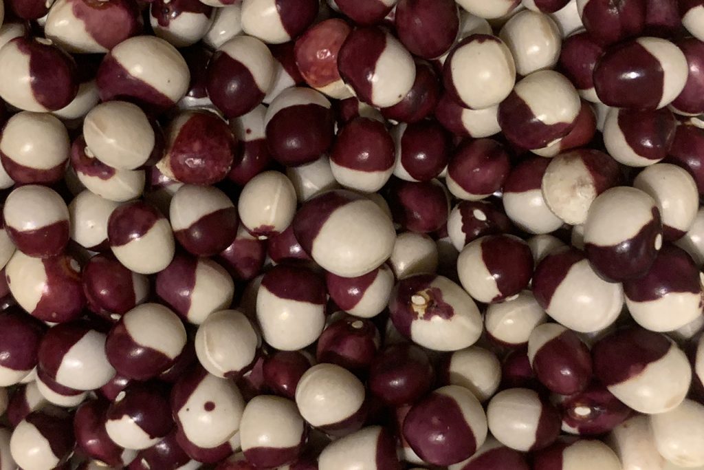 Yin and Yang dried beans