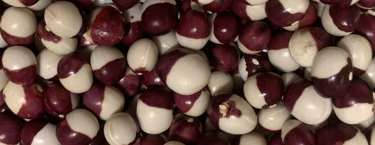 Yin and Yang dried beans