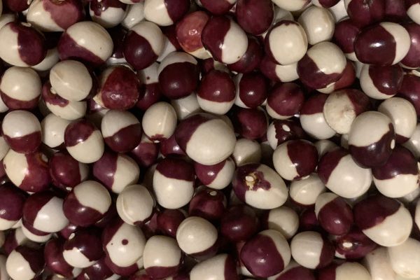 Yin and Yang dried beans