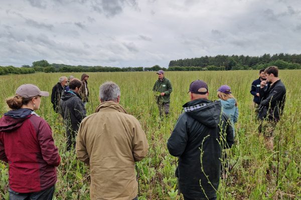 Oakbank seed mix Oakbank seed mix