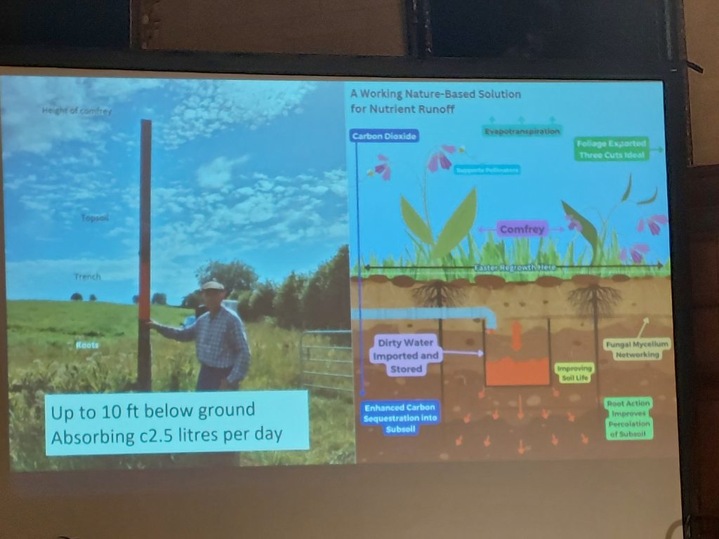 A slide showing nature based solutions for nutrient run off